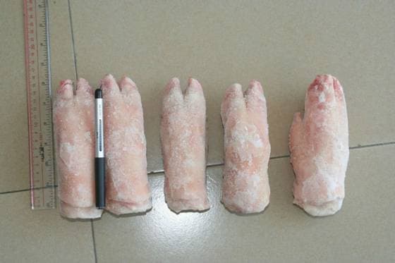 Whole Frozen Pork Meat and Frozen Pork Meat and Parts _ Froz